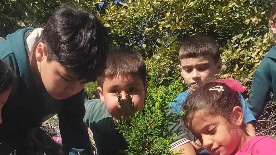 Yeşil vatan benim okulum